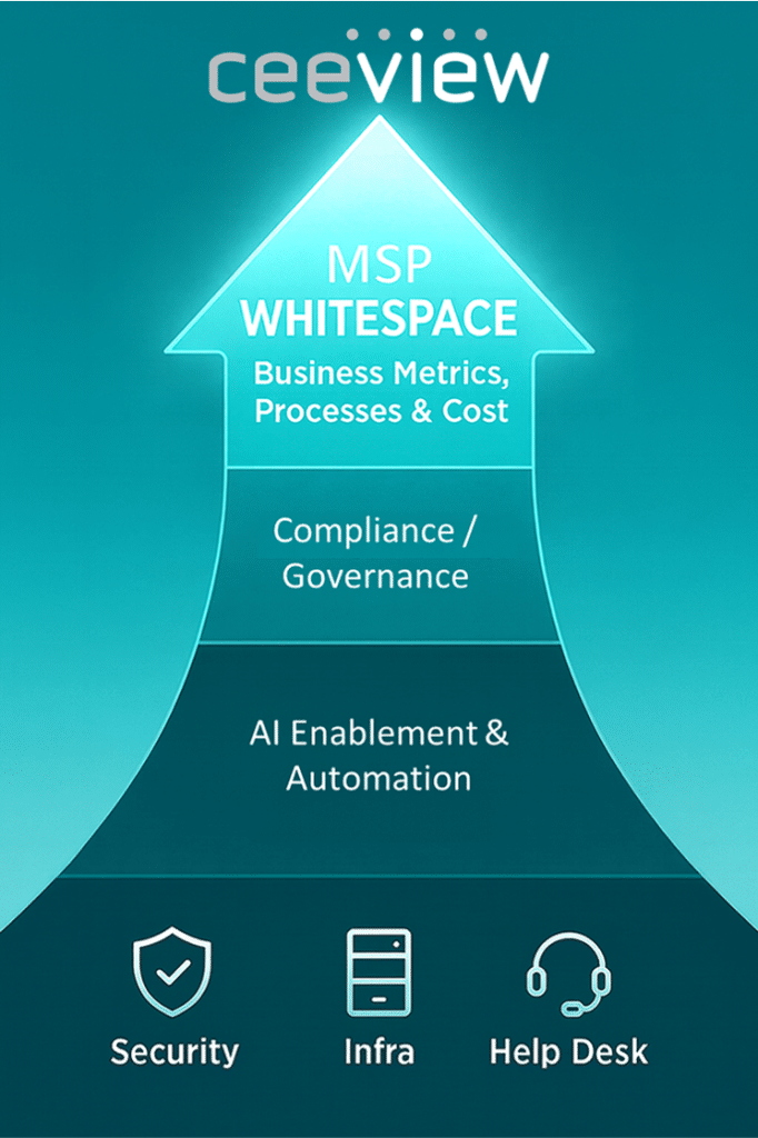MSP Whitespace - Business Metrics & Cost enabled by Ceeview