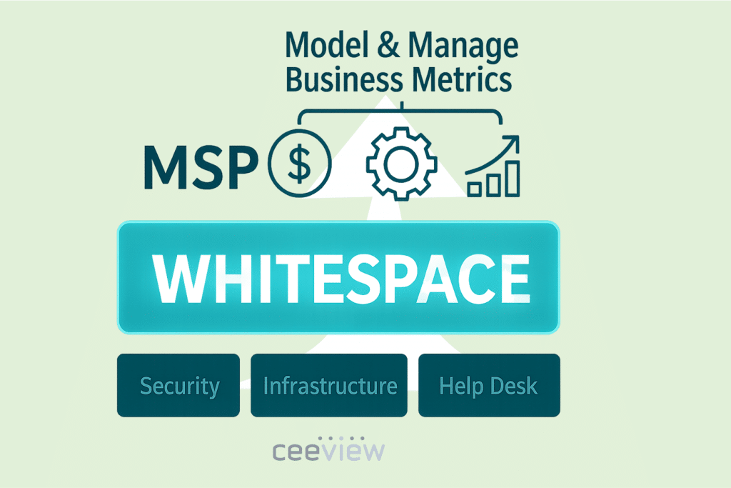 Model and Manage Business Metrics with Ceeview